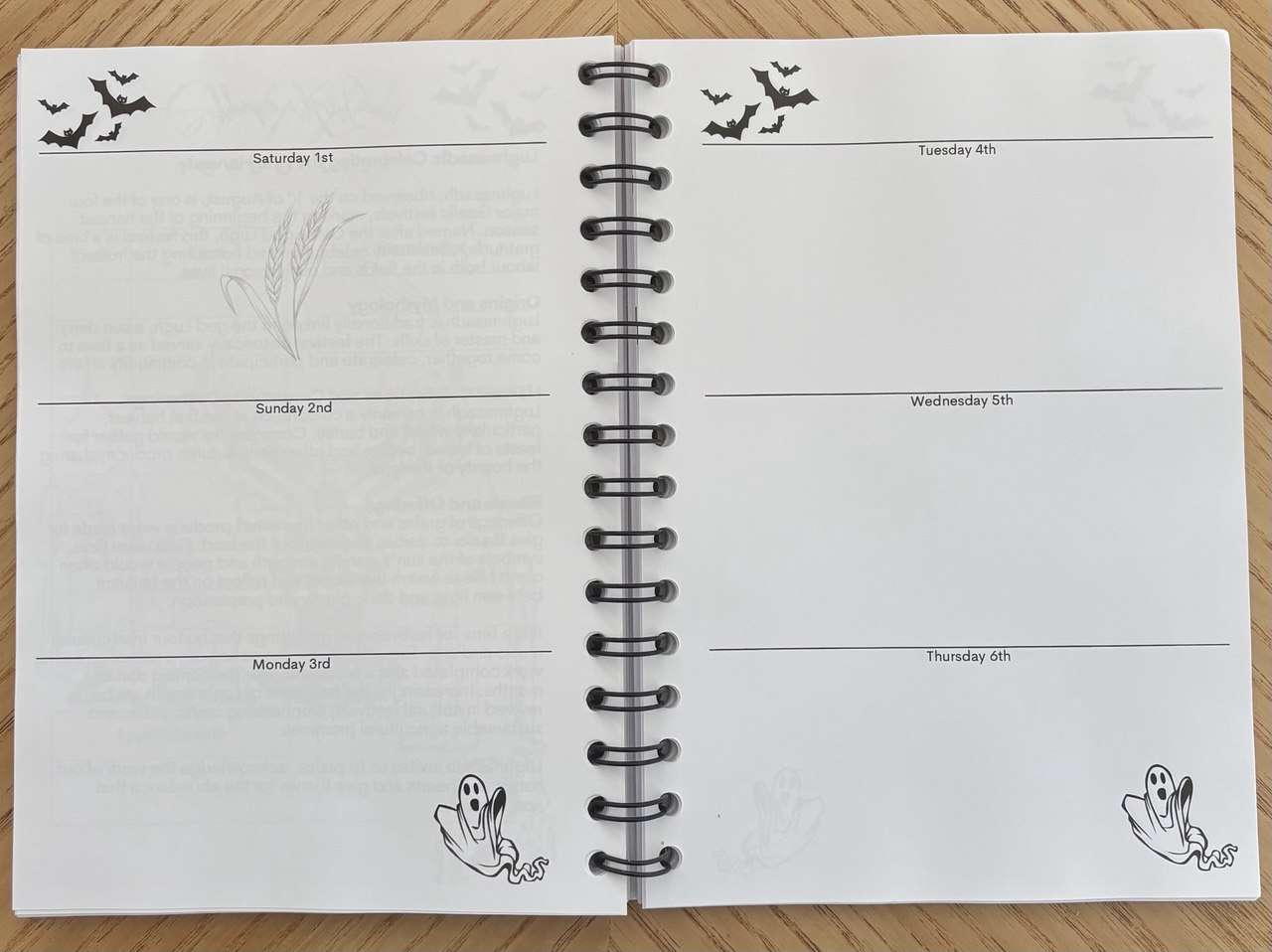 Spooky Witch Diary 2026 - Irish Books - Image 4